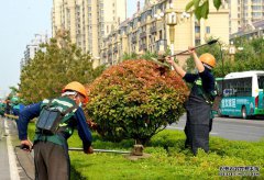 青州市：黨建紅+園林綠+環(huán)衛(wèi)橙，合力打造全域花園城市